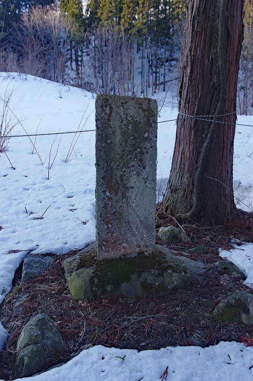 2019022404