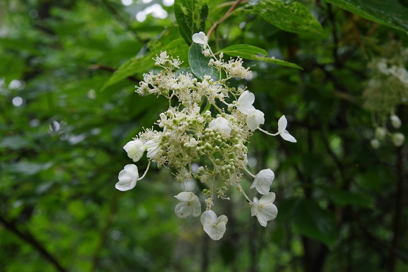 2026080230