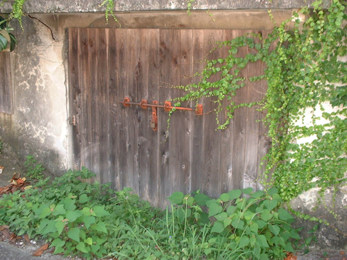 DSCF0037