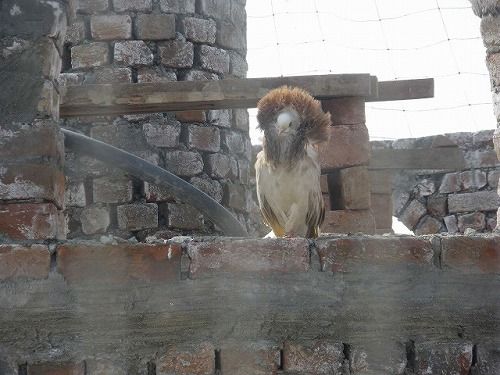 ι2012 121