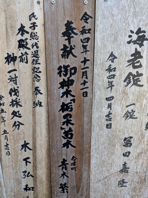 PXL_20260905_011912552