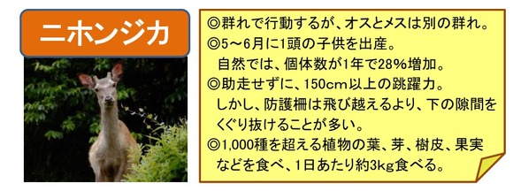 スクリーンショット_6-9-2026_174654_www.pref.shiga.lg.jp