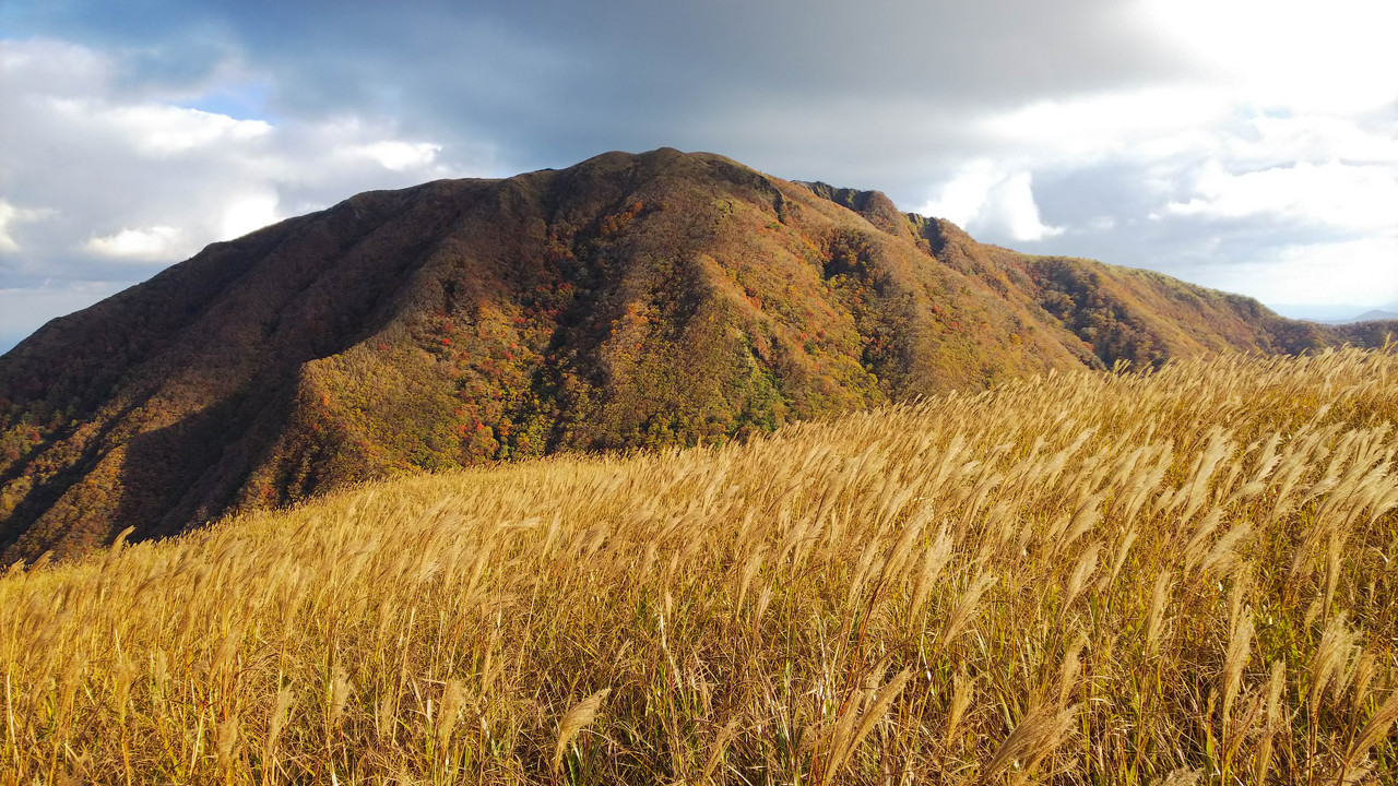 紅葉の三瓶山 山旅天空倶楽部 紅葉の三瓶山 山旅天空倶楽部
