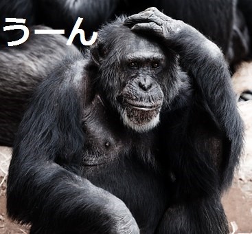 animal-17474__340 - コピー