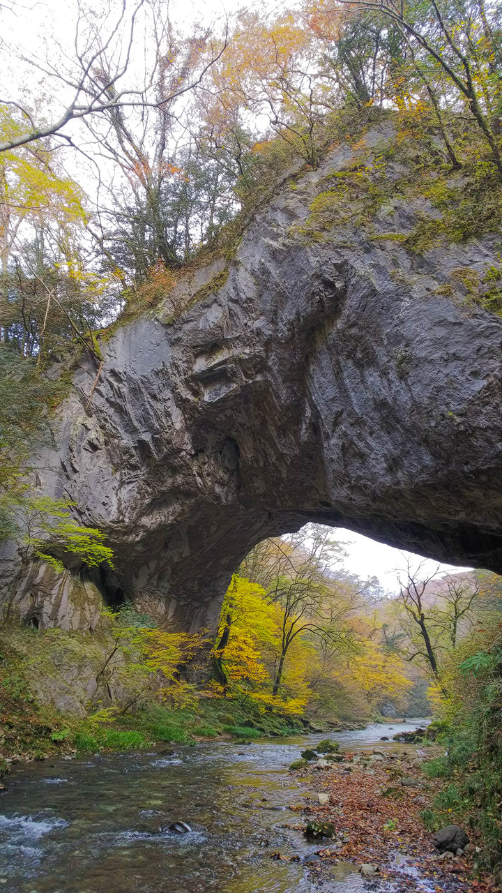 比婆道後帝釈国定公園の秋 山旅天空倶楽部 比婆道後帝釈国定公園の秋 山旅天空倶楽部