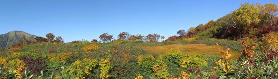 IMG_1090 パノラマ写真