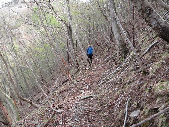 IMG_1232 20230416059