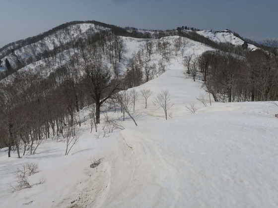 IMG_1903