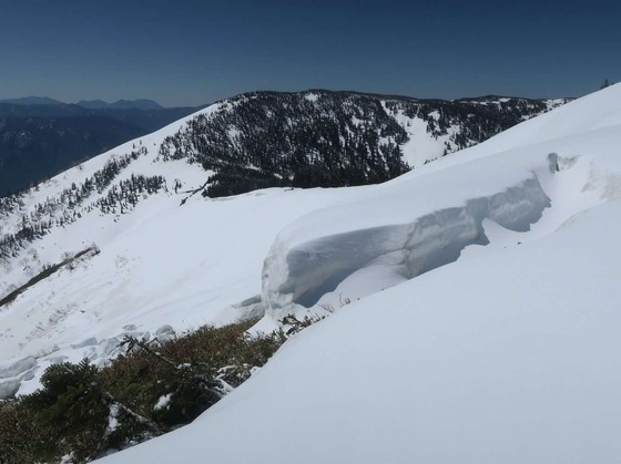 f9969536