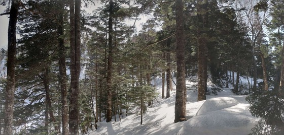 IMG_0624-PANO
