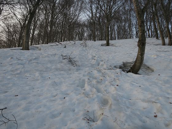 IMG_2150