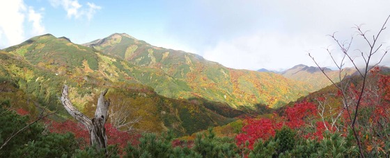 IMG_1309 パノラマ写真