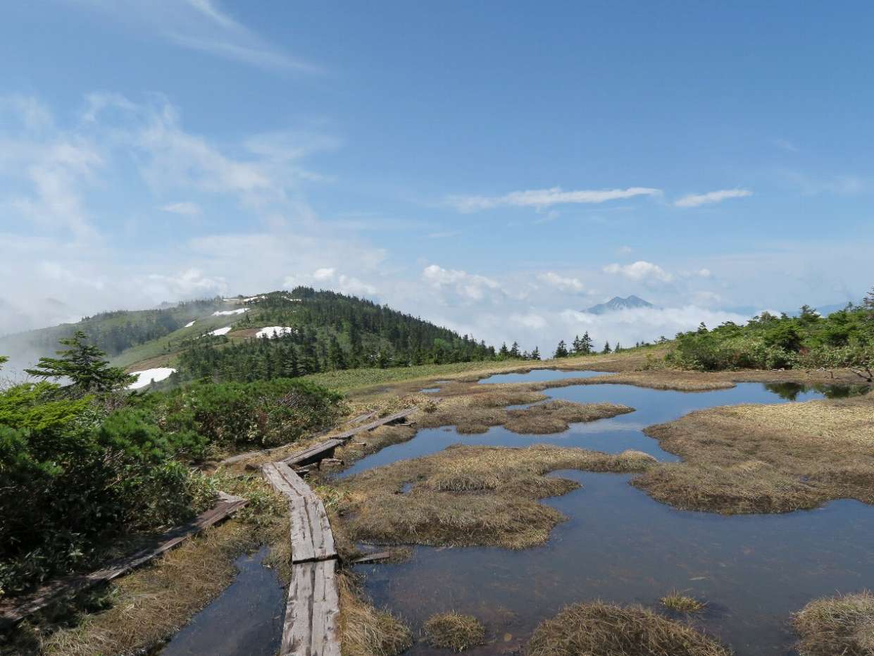 年6月27日 会津駒 中門岳 みー猫の山旅風景写真