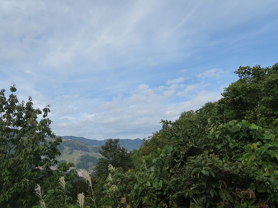 IMG_5042