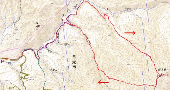 MAP鹿又