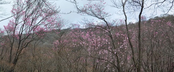 DSC_0123 パノラマ写真
