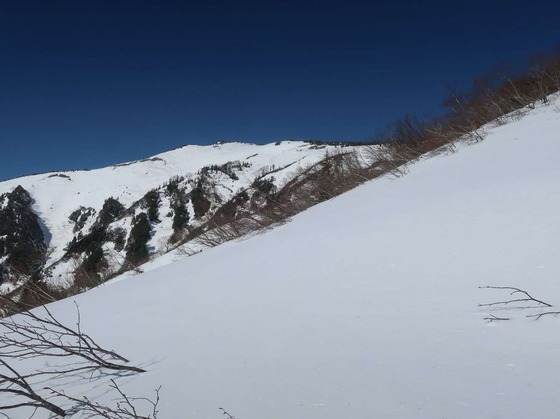 f8274816