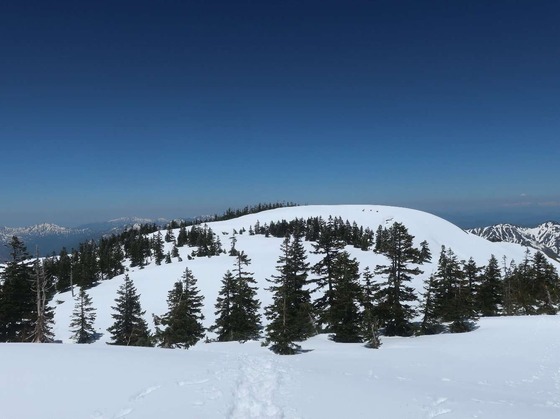 f10994880
