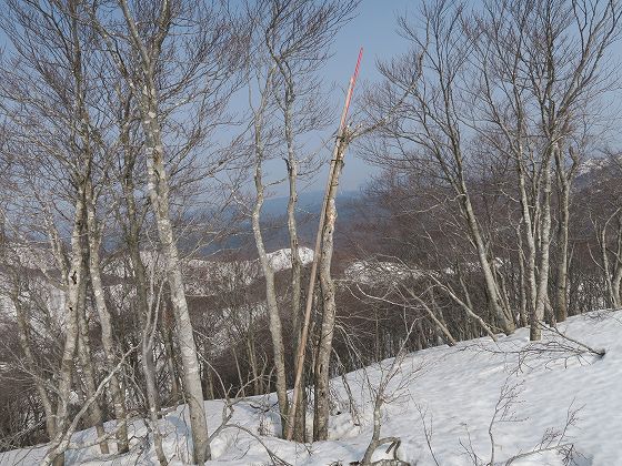 IMG_2362