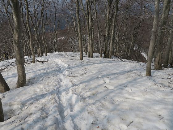 IMG_2398