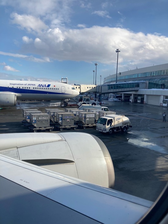 帰路便　新千歳空港