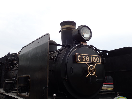 P5310055