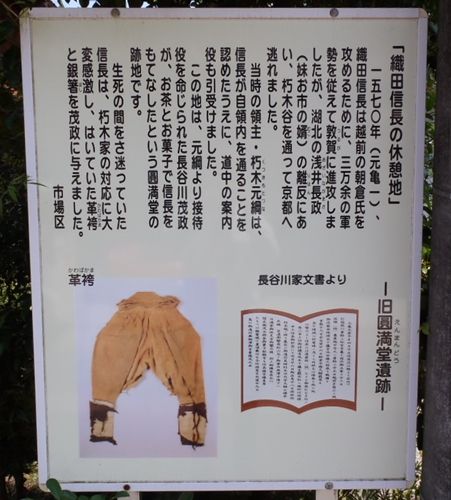 イメージ 8