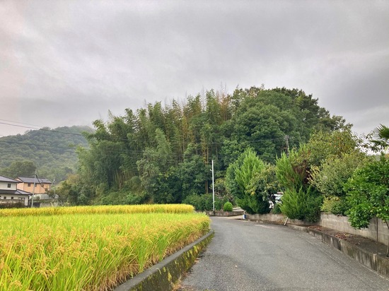 岡谷城と石川久式3