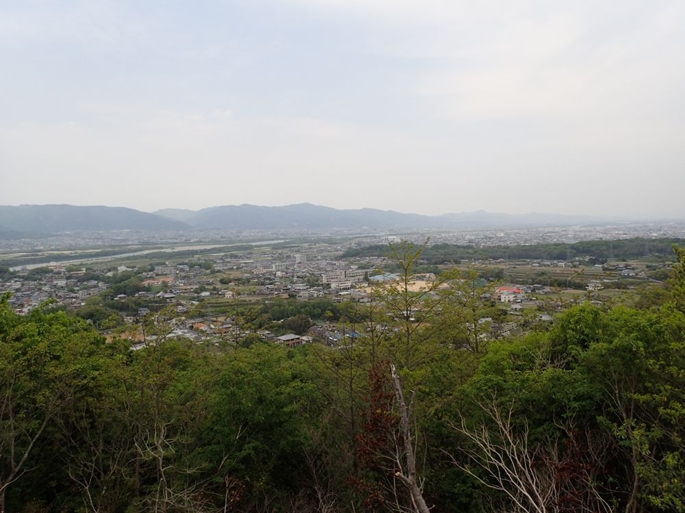 イメージ 10