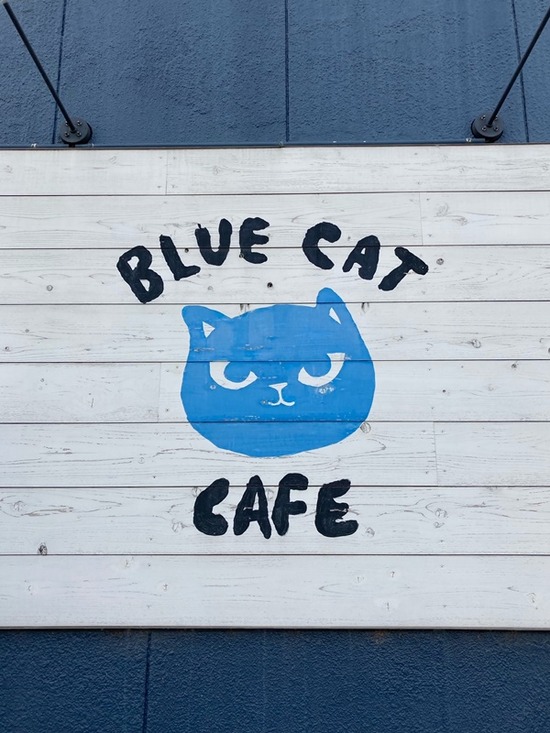 ブルーキャットカフェ1