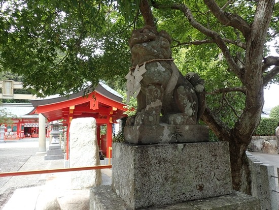 P8121534