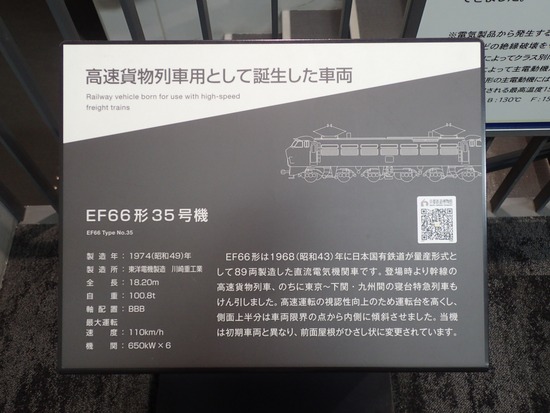 P5310080
