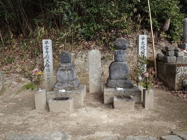 イメージ 6