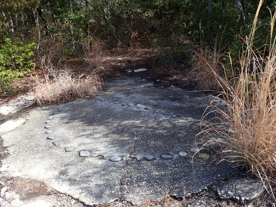 P3040329