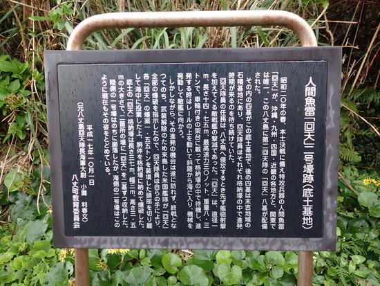 P2011501