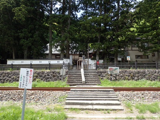 P5030547