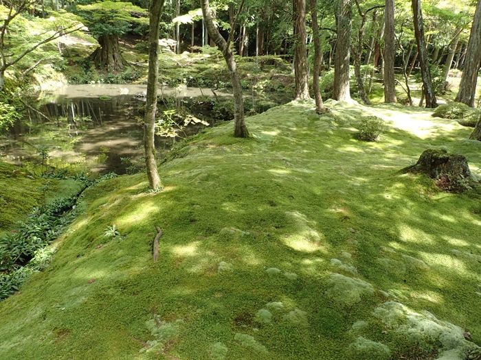 苔寺の風景2/2～世界遺産：西芳寺～【京都夏歩記8】 : YAMATETSU見聞録