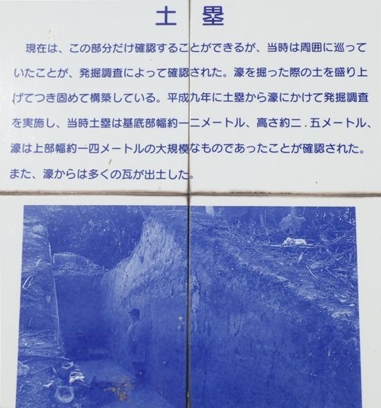 イメージ 7