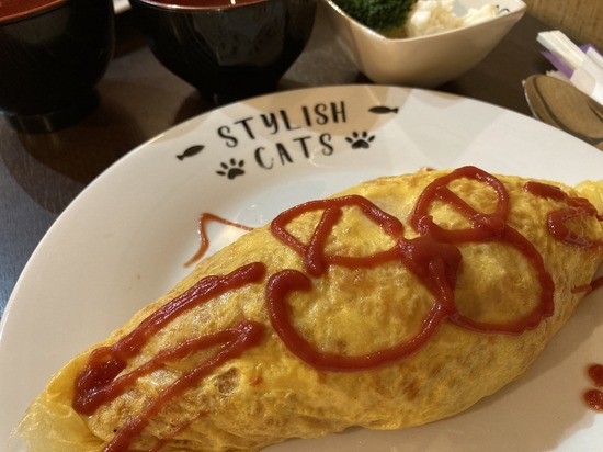 大阪猫詣2026年5月②