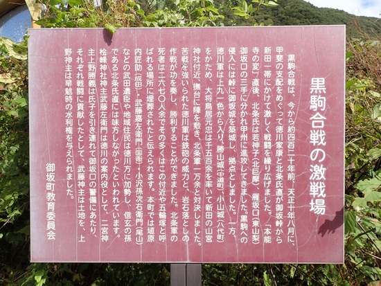 PA110618