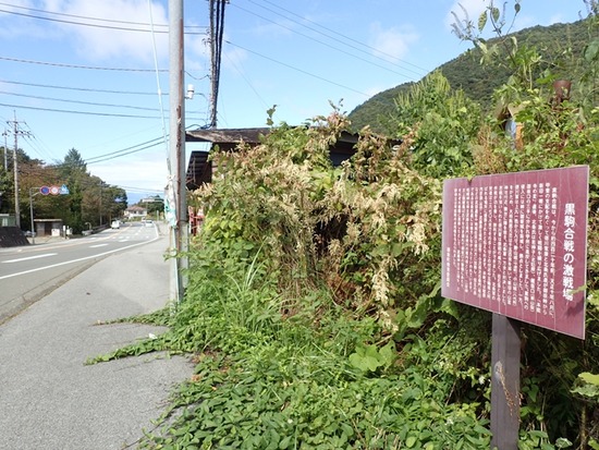 PA110613