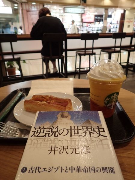 逆説の世界史 1 古代エジプトと中華帝国の興廃 Yamatetsu物語 逆説の世界史 1 古代エジプトと中華帝国の興廃 Yamatetsu物語