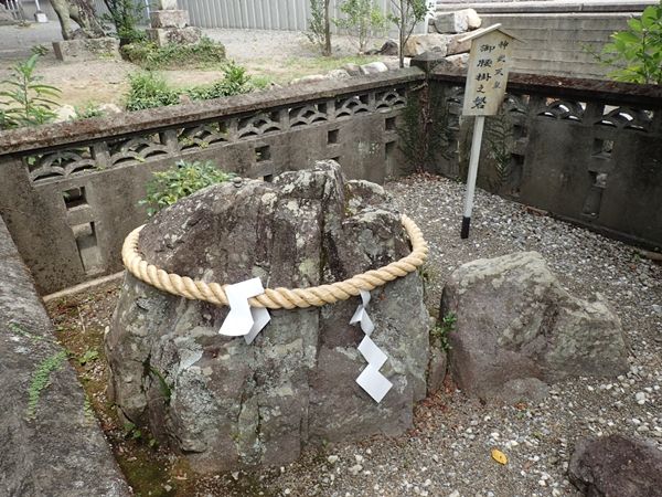 イメージ 6