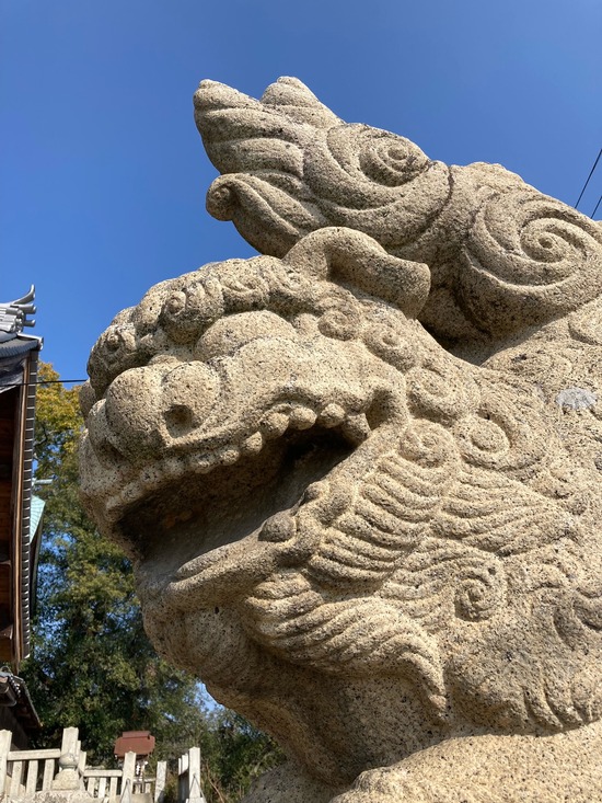 忠海17