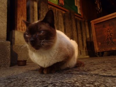 イメージ 14