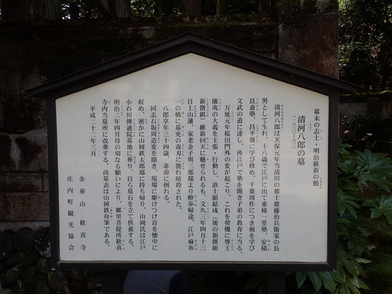 P5030550