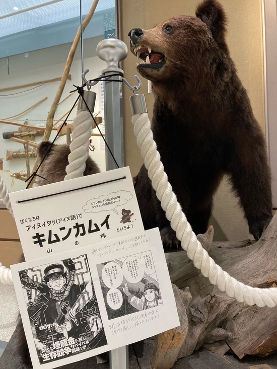 展示:キムンカムイ
