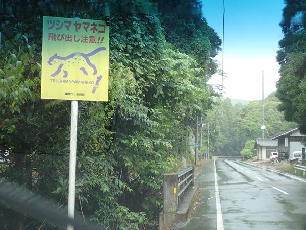 イメージ 12