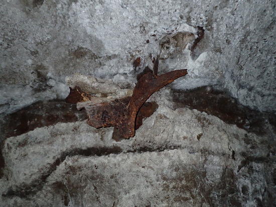 P2011509