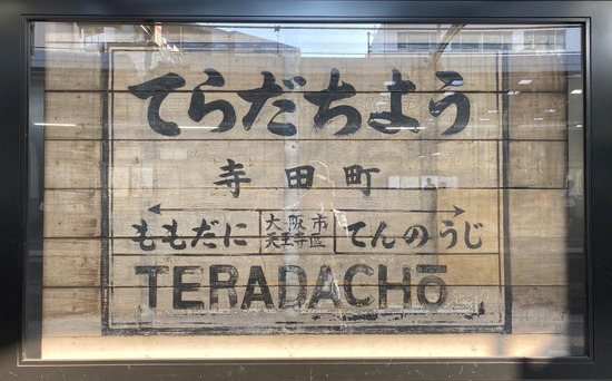 大阪猫詣2026年5月⑧
